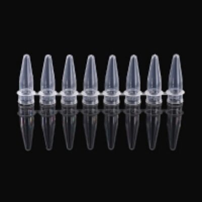resources of 0.2Ml Transparent 8-Tube Flat Cover With 8 Cover exporters