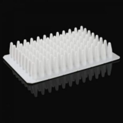 resources of 96*0.2Ml White Pcr Plate Without Skirt exporters