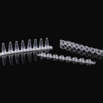 resources of 0.1Ml 8-Strips Pcr Tube With Attached 8-Strips exporters