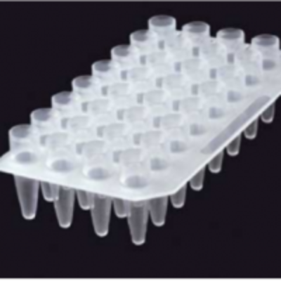 resources of 32-Well Pcr Plate Purepak 0.2Ml Thin Wall exporters