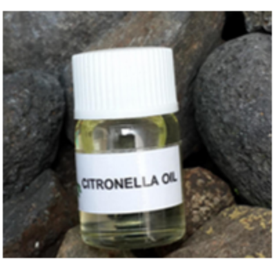 resources of Citronella Java Oil exporters