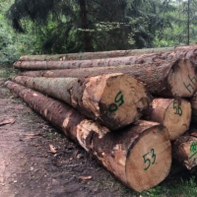 resources of Spruce Logs exporters