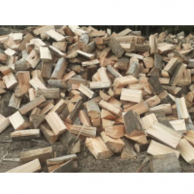 resources of Eucalyptus Firewood exporters