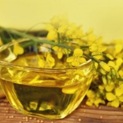 resources of Refined Soybean Oil, Corn Oil, Rapeseed Oil exporters