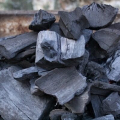 resources of Bbq Wood Charcoal exporters