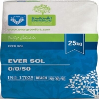 resources of Ever Sol exporters