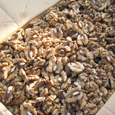 resources of Walnuts, Hazelnuts, Almonds, Cashew and Pistachio Nuts for sale exporters