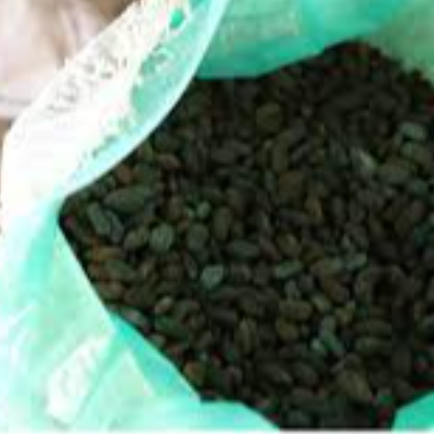 Cacao Beans - Origin: Santander - Colombia Exporters, Wholesaler & Manufacturer | Globaltradeplaza.com