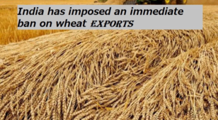 India has imposed an immediate ban on wheat exports