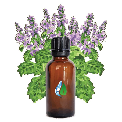 resources of Patchouli Oil exporters