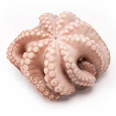 resources of Frozen Octopus exporters