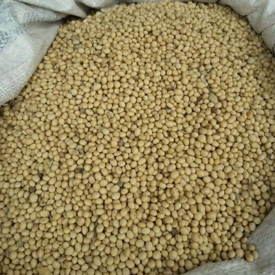 resources of Soja - Soyabean exporters