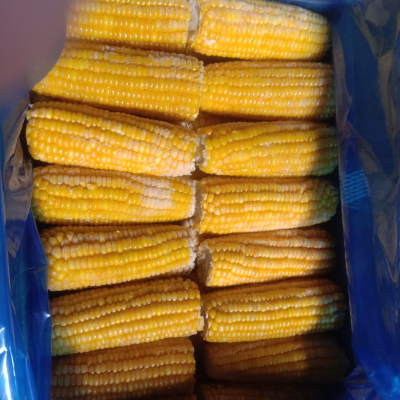 Frozen Sweet Corn Exporters, Wholesaler & Manufacturer | Globaltradeplaza.com