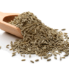 Cumin seeds Exporters, Wholesaler & Manufacturer | Globaltradeplaza.com