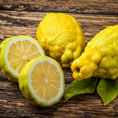 resources of Wild lemon exporters