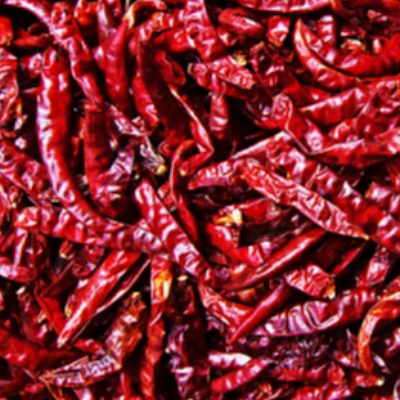 resources of Sannam Dried Red Chilli Stemless exporters