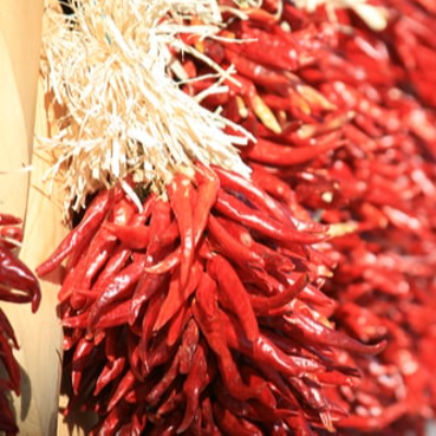 resources of S-273 Dried Red Chili exporters