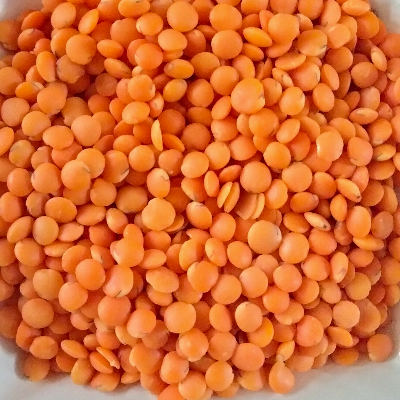 resources of Red Lentil exporters