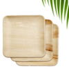 Areca Leaf Plates 10*10 Square plate Exporters, Wholesaler & Manufacturer | Globaltradeplaza.com