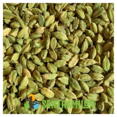resources of Green Cardamom (5.5-6.5mm) (6.5-7.5mm) (7.5-8mm) exporters