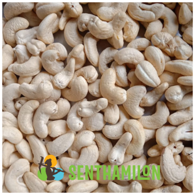 resources of Cashews - Wholes exporters