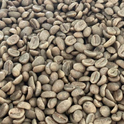 resources of Green and Roasted Coffee Beans Colombia exporters