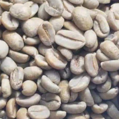 resources of Green and Roasted Coffee Beans Burundi exporters