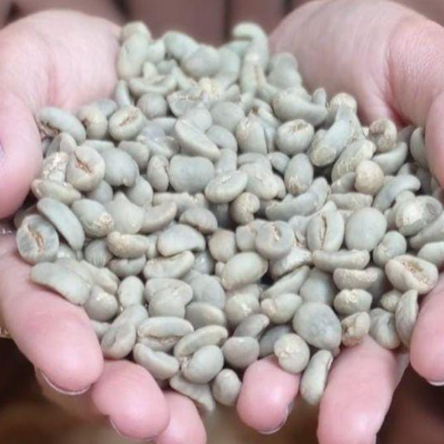 resources of Green and Roasted Coffee Beans Indonesia exporters