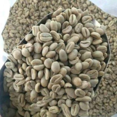 resources of Green and Roasted Coffee Beans Ethiopia exporters