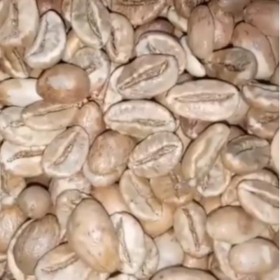 resources of Green and Roasted Coffee Beans Tanzania exporters