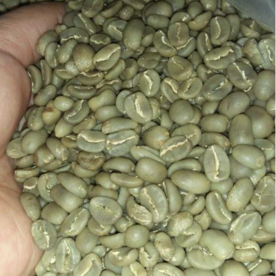 resources of Green and Roasted Coffee Beans Sumatra exporters