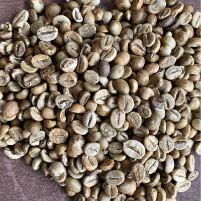 resources of Green and Roasted Coffee Beans Dempo Mt Summatra exporters