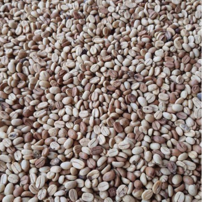 resources of Green and Roasted Coffee Beans Peru exporters