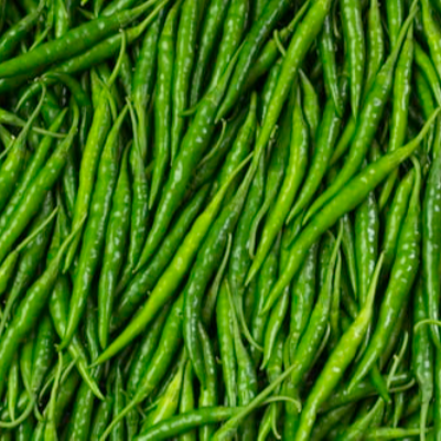 G4 Green Chilli Exporters, Wholesaler & Manufacturer | Globaltradeplaza.com