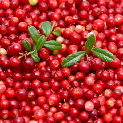 resources of Quick-frozen lingonberries exporters