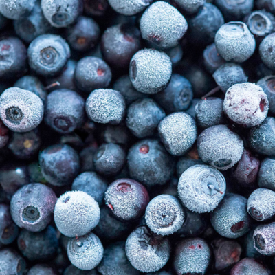 resources of Frozen blueberries exporters