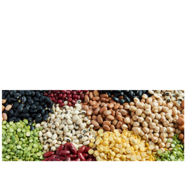 resources of Dal Agriculture exporters
