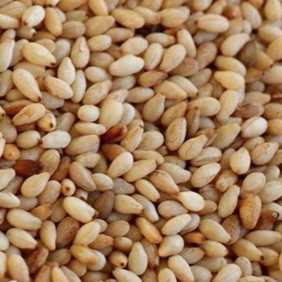 Sasame Seeds Exporters, Wholesaler & Manufacturer | Globaltradeplaza.com