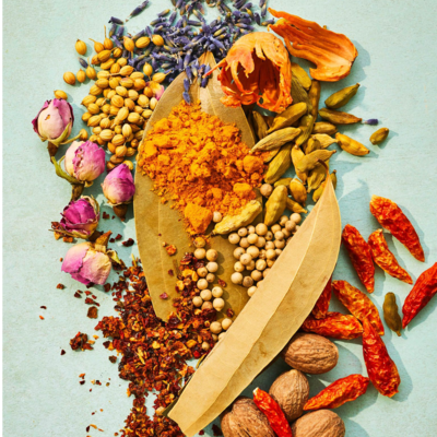 resources of spice exporters