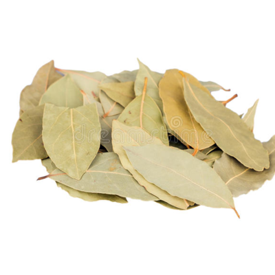 resources of laurel leaves exporters