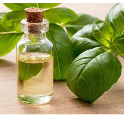 resources of basil oil exporters