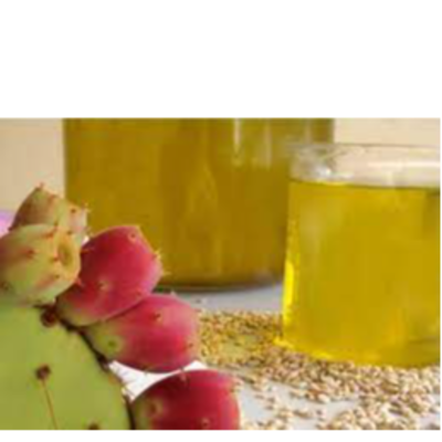 resources of cactus fruit oil exporters