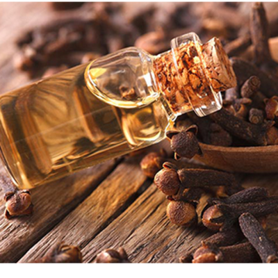 resources of Clove Leaf Oil exporters