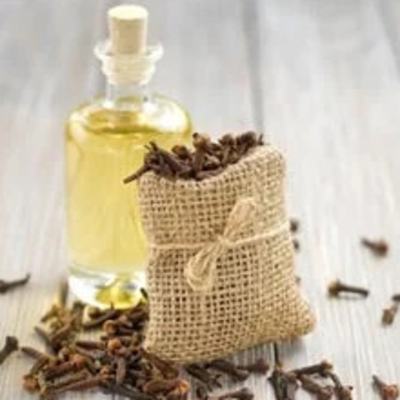 resources of Clove Stem Oil exporters