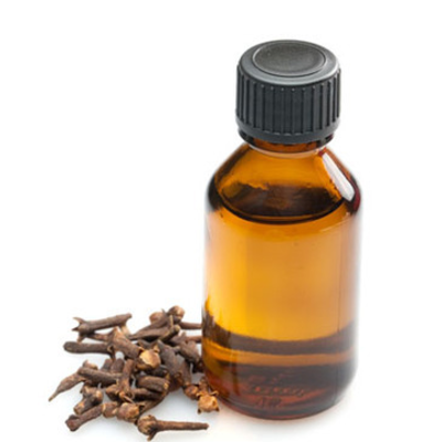 resources of CLOVE BUD OIL exporters