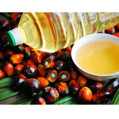 resources of palm oil exporters
