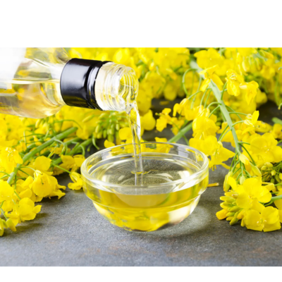 resources of RAPE SEED OIL exporters