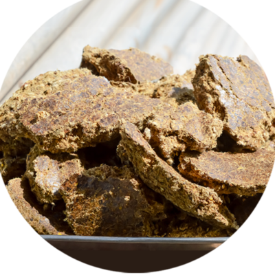 resources of Palm kernel cake exporters