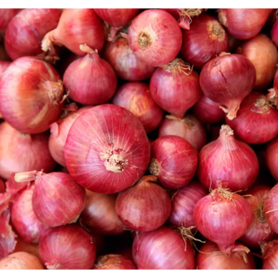 onion Exporters, Wholesaler & Manufacturer | Globaltradeplaza.com