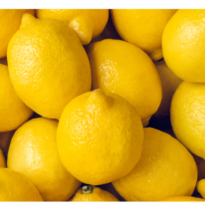 lemon Exporters, Wholesaler & Manufacturer | Globaltradeplaza.com